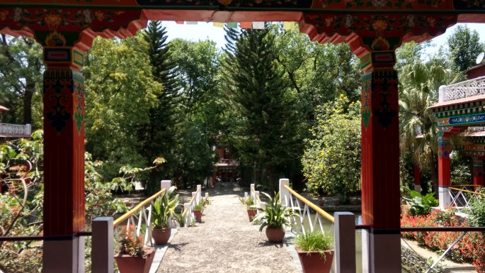 IMG_20170520_121444788_HDR