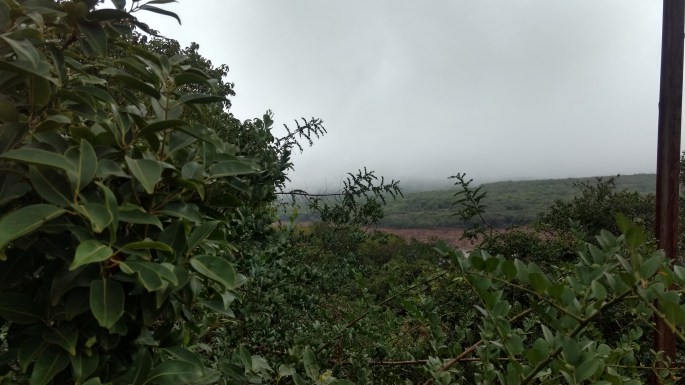 IMG_20170531_144416520_HDR